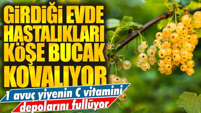 Girdiği evde hastalıkları köşe bucak kovalıyor! 1 avuç yiyenin C vitamini deposunu fullüyor