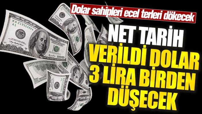 Net tarih verildi: Dolar 3 lira birden düşecek! Dolar sahipleri ecel terleri dökecek