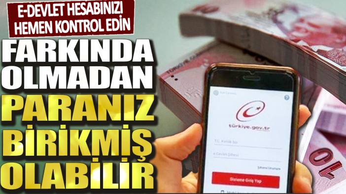 e-Devlet hesabınızı hemen kontrol edin! Farkında olmadan paranız birikmiş olabilir