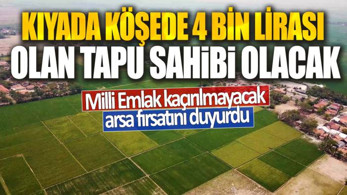 Kıyada köşede 4 bin lirası olan tapu sahibi olacak! Milli Emlak kaçırılmayacak arsa fırsatını duyurdu