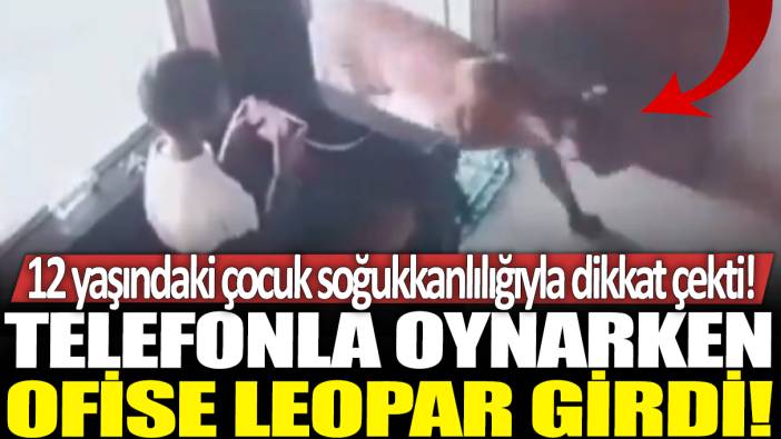 Telefonla oynarken ofise leopar girdi! 12 yaşındaki çocuk soğukkanlılığıyla dikkat çekti!