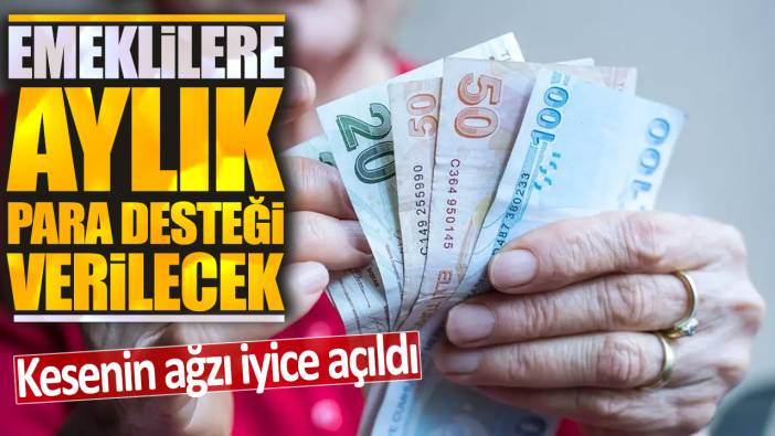 Emeklilere aylık para desteği verilecek: Kesenin ağzı iyice açıldı