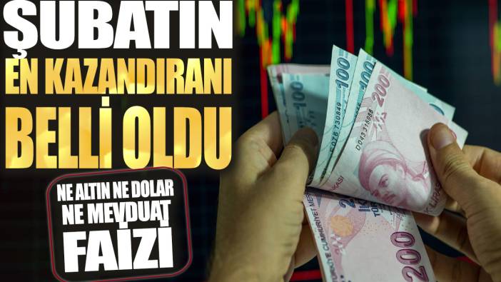 Ne altın ne dolar ne mevduat faizi... Şubatın en kazandıranı belli oldu