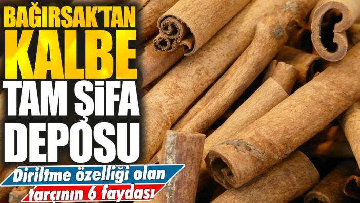 Bağırsaktan kalbe tam şifa deposu: Diriltme özelliği olan tarçının 6 faydası