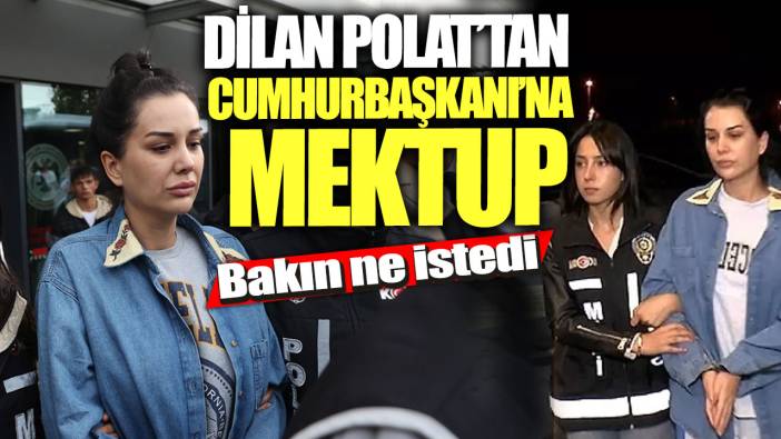 Dilan Polat’tan Cumhurbaşkanı’na mektup!  Bakın ne istedi