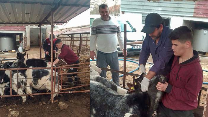 Güzelyur'ta aşılama çalışmaları tamamlandı