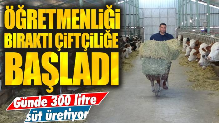 Öğretmenliği bıraktı çiftçiliğe başladı: Günde 300 litre süt üretiyor