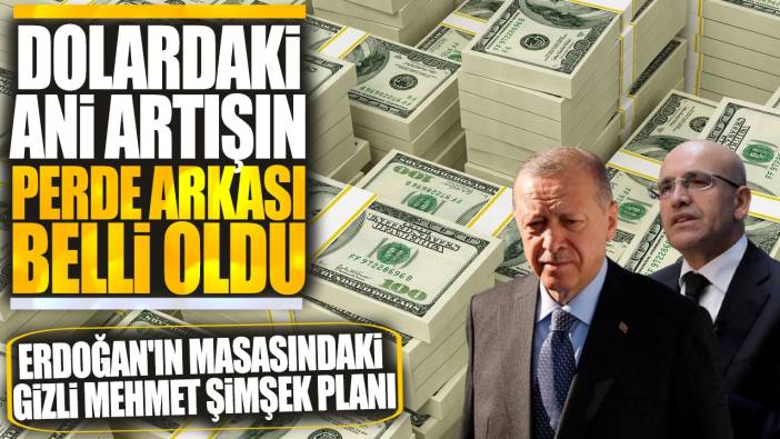 Dolardaki ani artışın perde arkası belli oldu! Erdoğan'ın masasındaki gizli Mehmet Şimşek planı