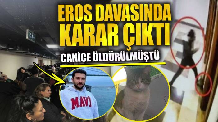 Canice öldürülmüştü kedi Eros davasında karar çıktı