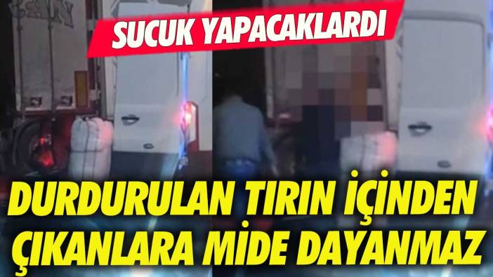 Sakarya'da durdurulan tırda 700 kilogram at ve eşek eti ele geçirildi