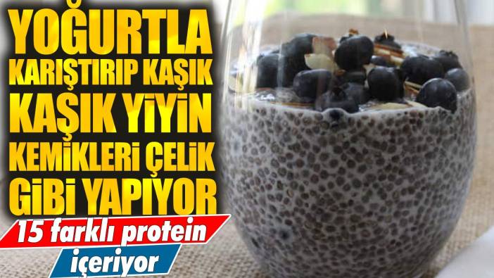 15 farklı protein içeriyor: Yoğurtla karıştırılıp yenilince kemikleri çelik gibi yapıyor