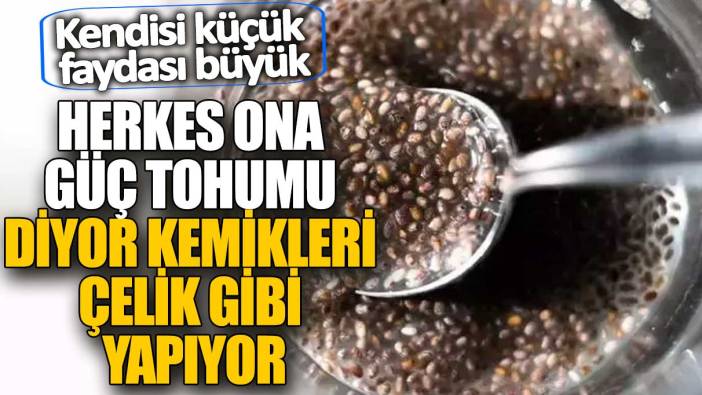 Herkes ona güç tohumu diyor kemikleri çelik gibi yapıyor! Kendisi küçük faydası büyük