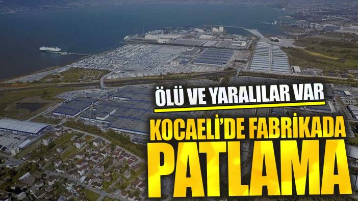 Son dakika Kocaeli'de sanayi fabrikasına patlama