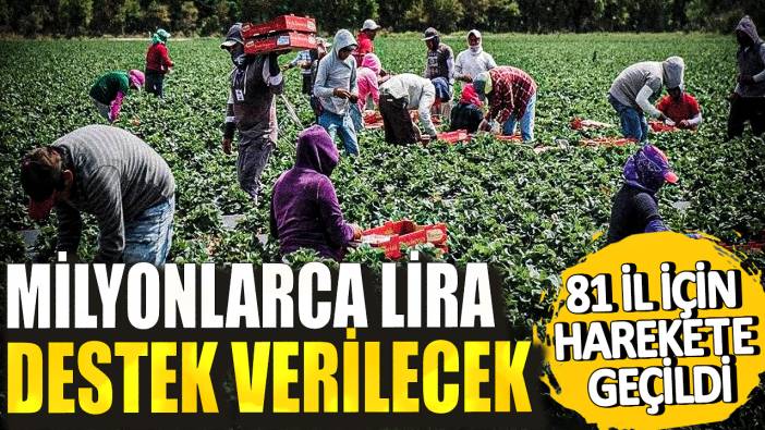 81 il için harekete geçildi! Milyonlarca lira destek verilecek