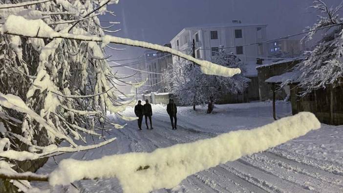 Van'da sağanak ve kar hayatı olumsuz etkiledi