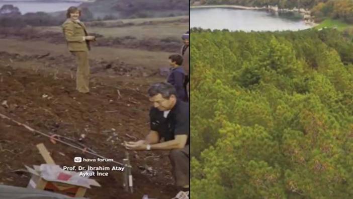 1973 yılında dikilen fidanların 43 yıl sonraki değişimi duygulandırdı