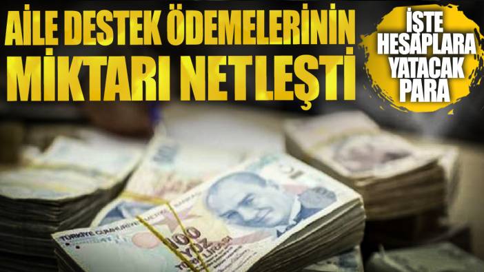 Aile destek ödemelerinin miktarı netleşti! İşte hesaplara yatacak para