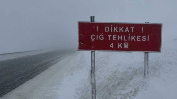 Ardahan-Artvin kara yoluna çığ düştü