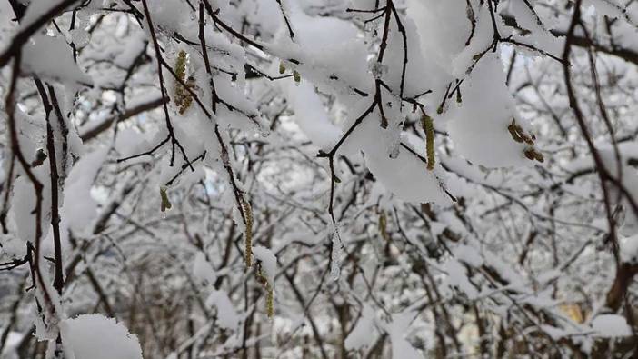 Meteoroloji'den zirai don uyarısı