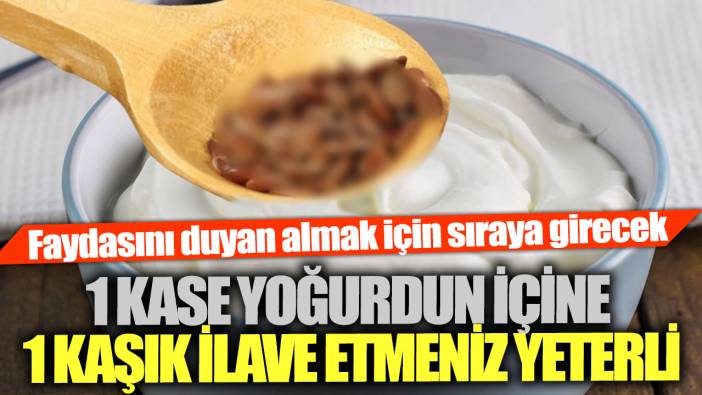 Faydasını duyan almak için sıraya girecek !1 kase yoğurdun içine 1 kaşık ilave etmeniz yeterli