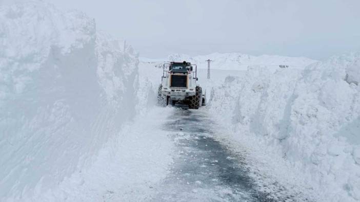 Hakkari'de çığ nedeniyle kapanan yollar açıldı