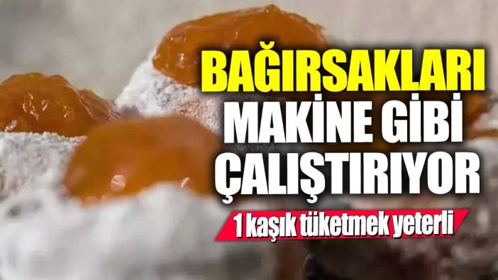 1 kaşık tüketmek yeterli! Bağırsakları makine gibi çalıştırıyor