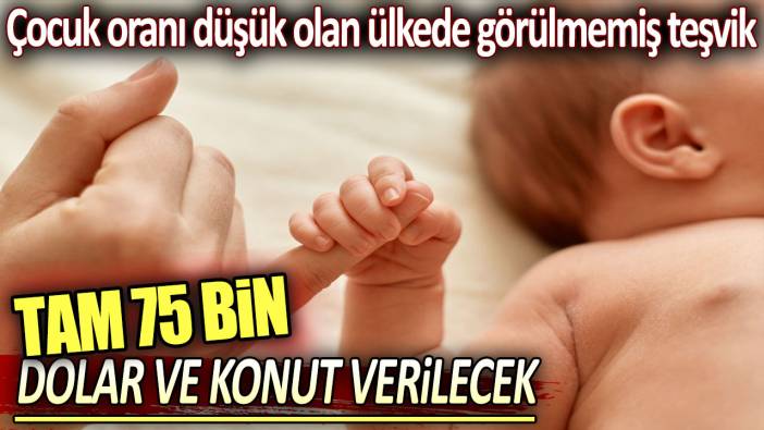 Tam 75 bin dolar ve konut verilecek: Çocuk oranı düşük olan ülkede görülmemiş doğum teşviki!