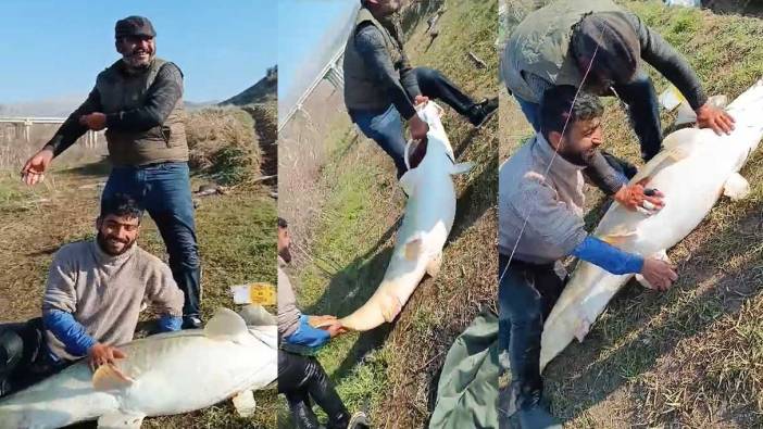 Adıyaman’da yakalandı! 70 kilogram ağırlığında