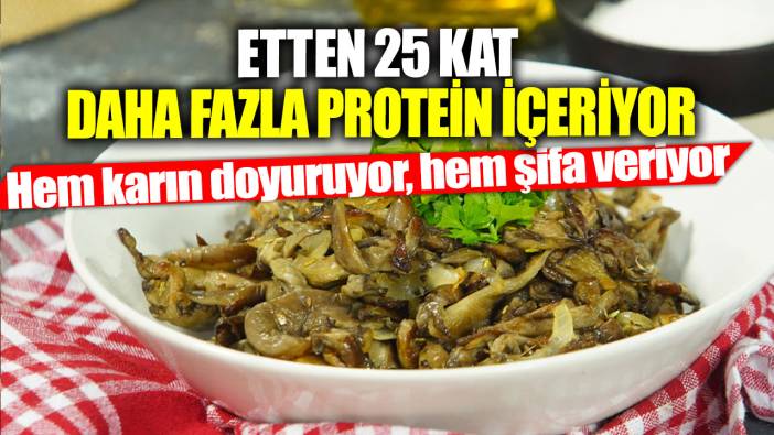 Etten 25 kat daha fazla protein içeriyor! Hem karın doyuruyor, hem şifa veriyor