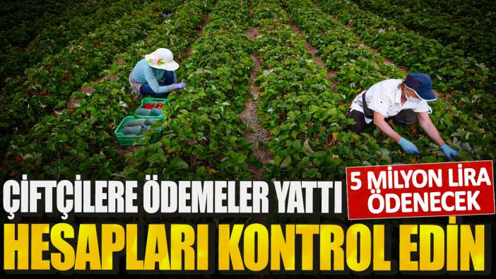 Çiftçilere ödemeler yattı hesaplarınızı kontrol edin! 5 milyon lira ödenecek