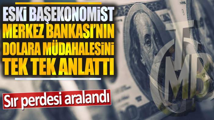 Eski başekonomist Merkez Bankası'nın dolara müdahalesini bir bir anlattı: Sır perdesi aralandı