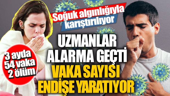 Soğuk algınlığıyla karıştırılıyor! Uzmanlar alarma geçti vaka sayısı endişe yaratıyor... 3 ayda 54 vaka 2 ölüm