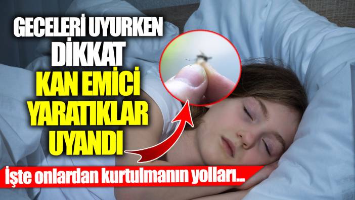 Geceleri uyurken dikkat kan emici yaratıklar uyandı!  İşte onlardan kurtulmanın yolları...