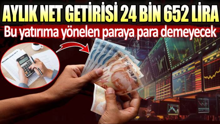 Aylık net getirisi 24 bin 212 lira: Bu yatırıma yönelen paraya para demeyecek