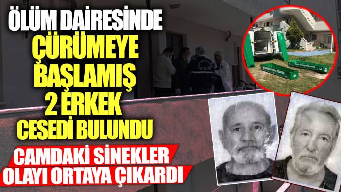 Ölüm dairesinde çürümeye başlamış 2 erkek cesedi bulundu! Camdaki sinekler olayı ortaya çıkardı