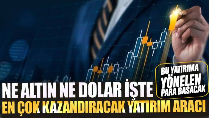 Bu yatırıma yönelen para basacak! Ne altın ne dolar işte en çok kazandıracak yatırım aracı