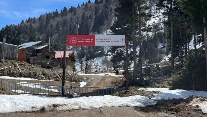 Artvin’de aç kalan ayılar kayak tesisine dadandı