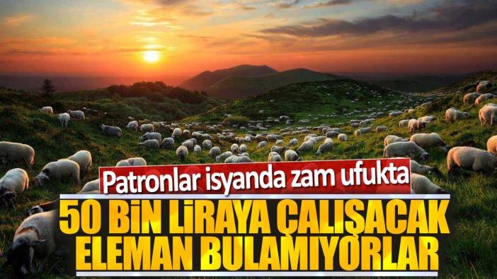 50 bin liraya çalışacak eleman bulamıyorlar: Patronlar isyanda zam ufukta