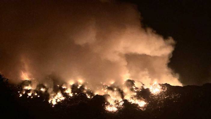 Artvin'de çöp sahasında yangın