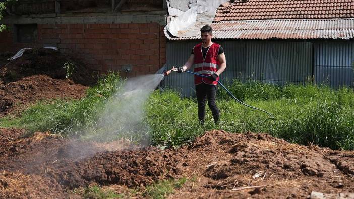 O kenti sivrisinekler istila etti! Acil ilaçlama başladı