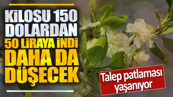 Fiyatı 150 dolardan 50 liraya indi daha da düşecek: Talep patlaması yaşanıyor!