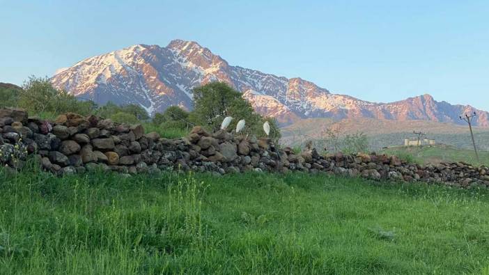 Hakkari'de bİr ilk! Görenler hayran kaldı