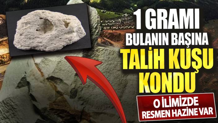 O ilimizde resmen hazine var! 1 gramı bulanın başına talih kuşu kondu