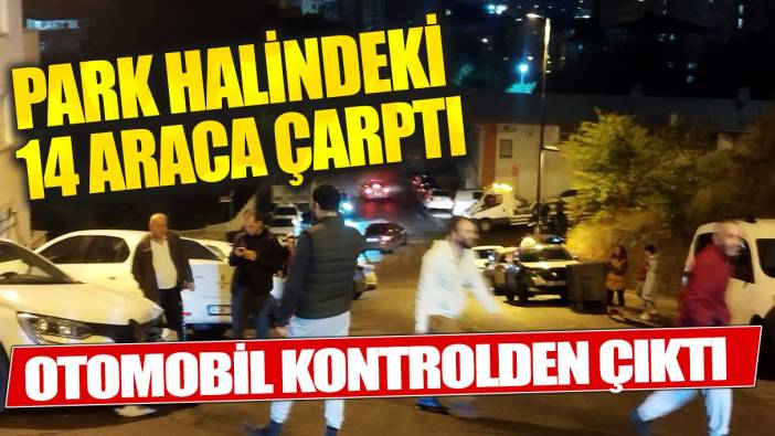 Frenleri tutmayan otomobil 14 aracı biçti