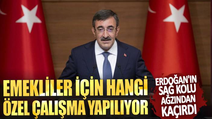 Erdoğan'ın sağ kolu ağzından kaçırdı! Emekliler için hangi özel çalışma yapılıyor