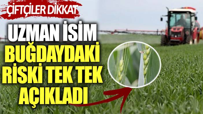 Çiftçiler dikkat! Uzman isim buğdaydaki riski tek tek açıkladı