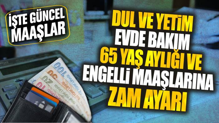 Dul ve yetim evde bakım 65 yaş aylığı ve engelli maaşlarına zam ayarı! İşte güncel tutarlar