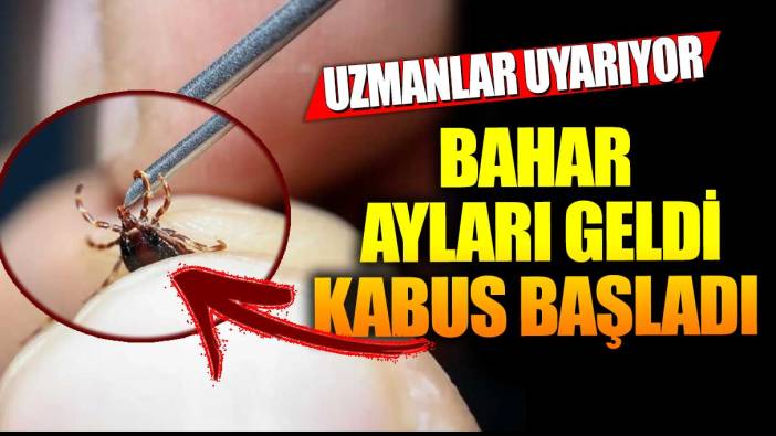 Bahar ayları geldi kabus başladı! Uzmanlar uyarıyor