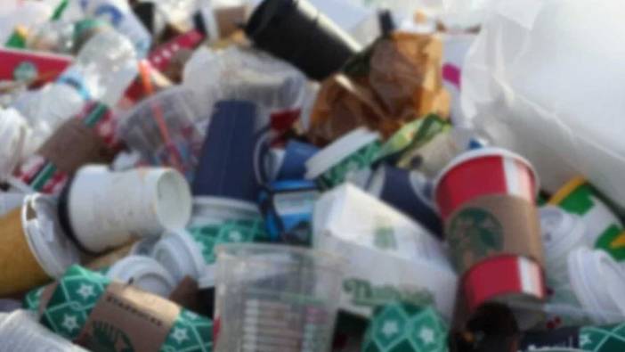 Avrupa Birliği'nden dikkat çeken karar! Yasaklanıyor