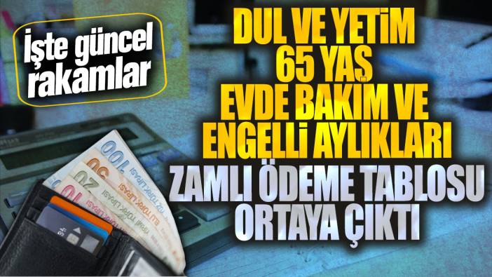 Dul ve yetim 65 yaş evde bakım ve engelli aylıkları zamlı ödeme tablosu ortaya çıktı